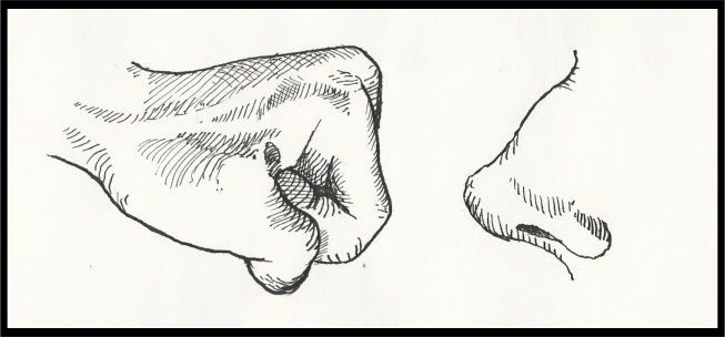 NoseFist2